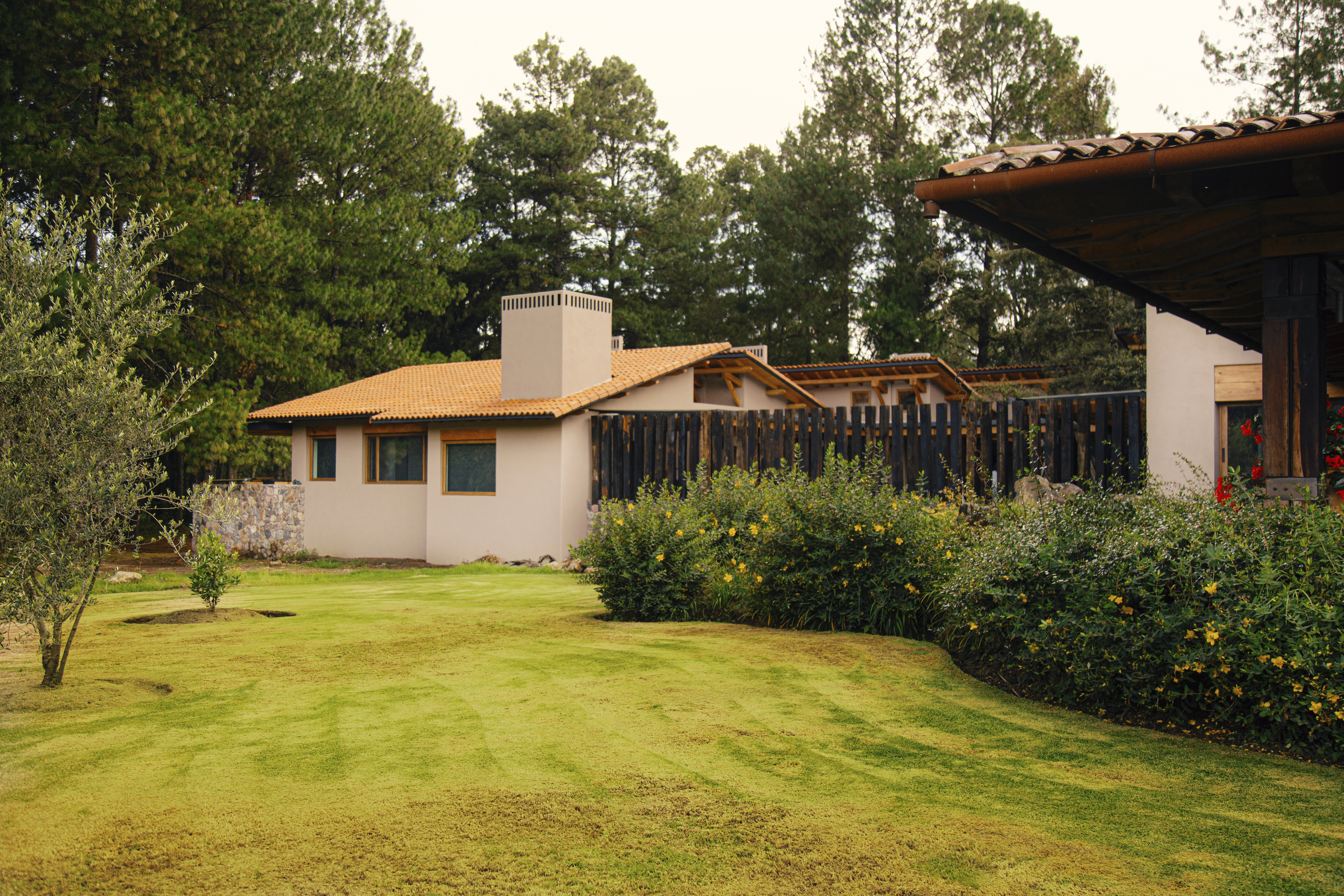 Fachada con jardín verde